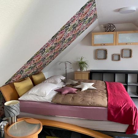 Villa Kuntabunt Sudermarsch Buitenkant foto